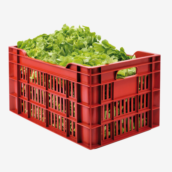 Perforated crate - 550 x 360