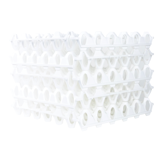 Alvéoles à oeufs - 30 oeufs - lot de 6 - blanc