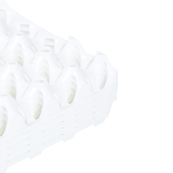 Alvéoles à oeufs - 30 oeufs - lot de 6 - blanc