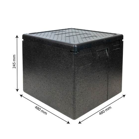 Conteneur isotherme 420 x 420 mm - 59 L - ouverture par le haut