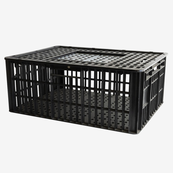 Cage à poules 2 portes coulissantes 800 x 600