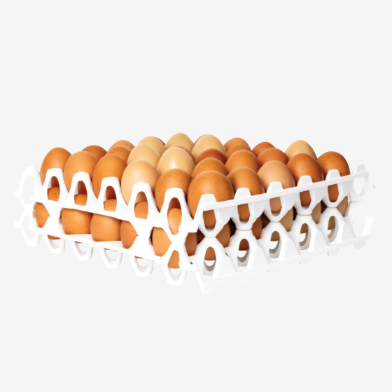 Lot eggs trays x6  - white