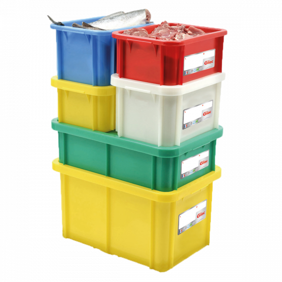 Rectangular HACCP container +  lid