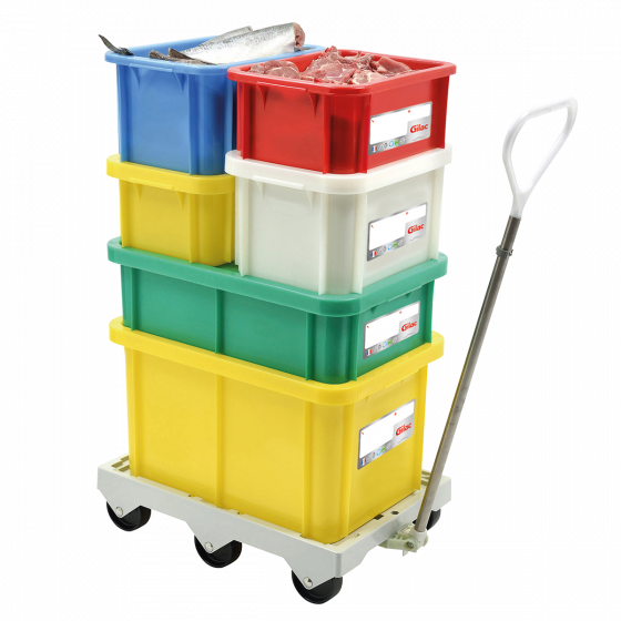 Rectangular HACCP container +  lid