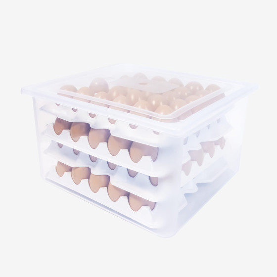 Boîte à œufs GN 2/3 - 120 œufs - 8 alvéoles - blanc