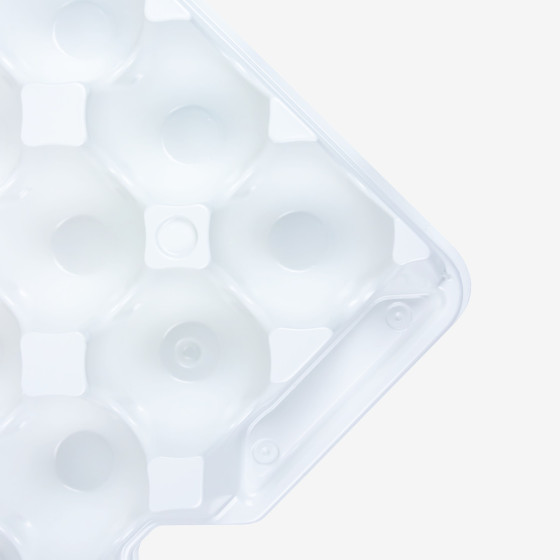 Set of 4 Trays for GN 2/3 Egg Box