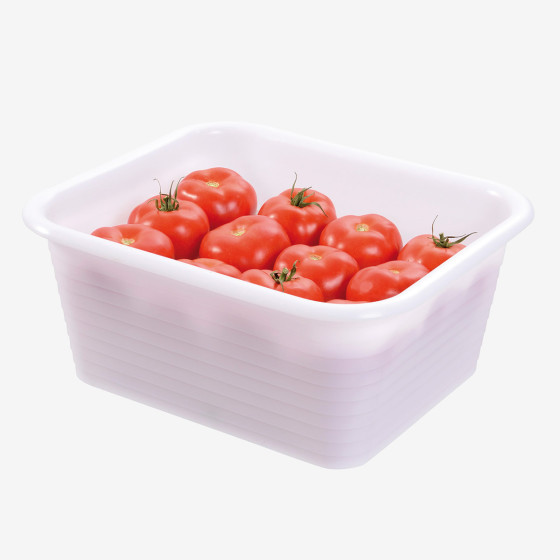 Rectangular reinforced container