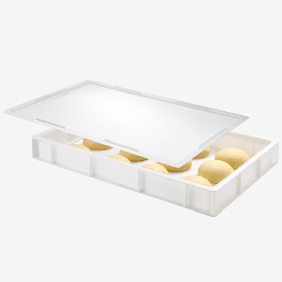 Dough container - 600 x 400