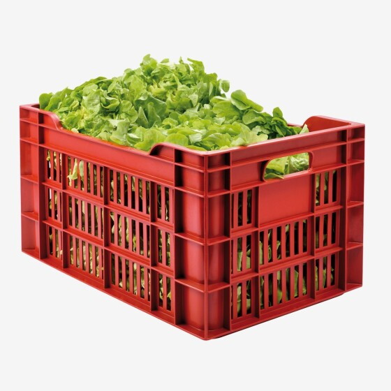 Perforated crate - 550 x 360