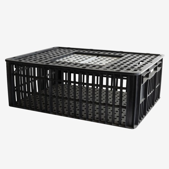 Cage à poules 2 portes coulissantes 800 x 600