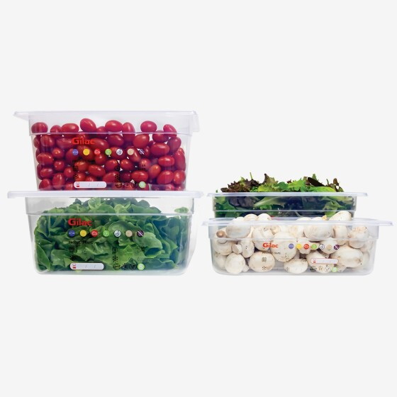 Gastronorm container + lid - GN1/2 HACCP - 100 mm - 6 L - Set of 2