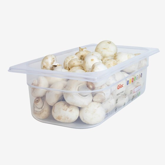 Bac gastronorme GN1/3 HACCP + couvercle - 100 mm - 3,8 L - Lot de 2