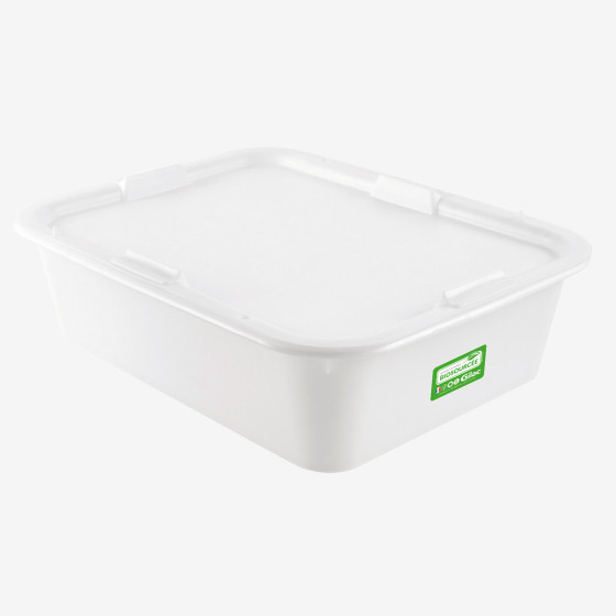 Biobased dividing dough container