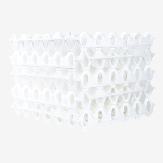 Alvéoles à oeufs - 30 oeufs - lot de 6 - blanc