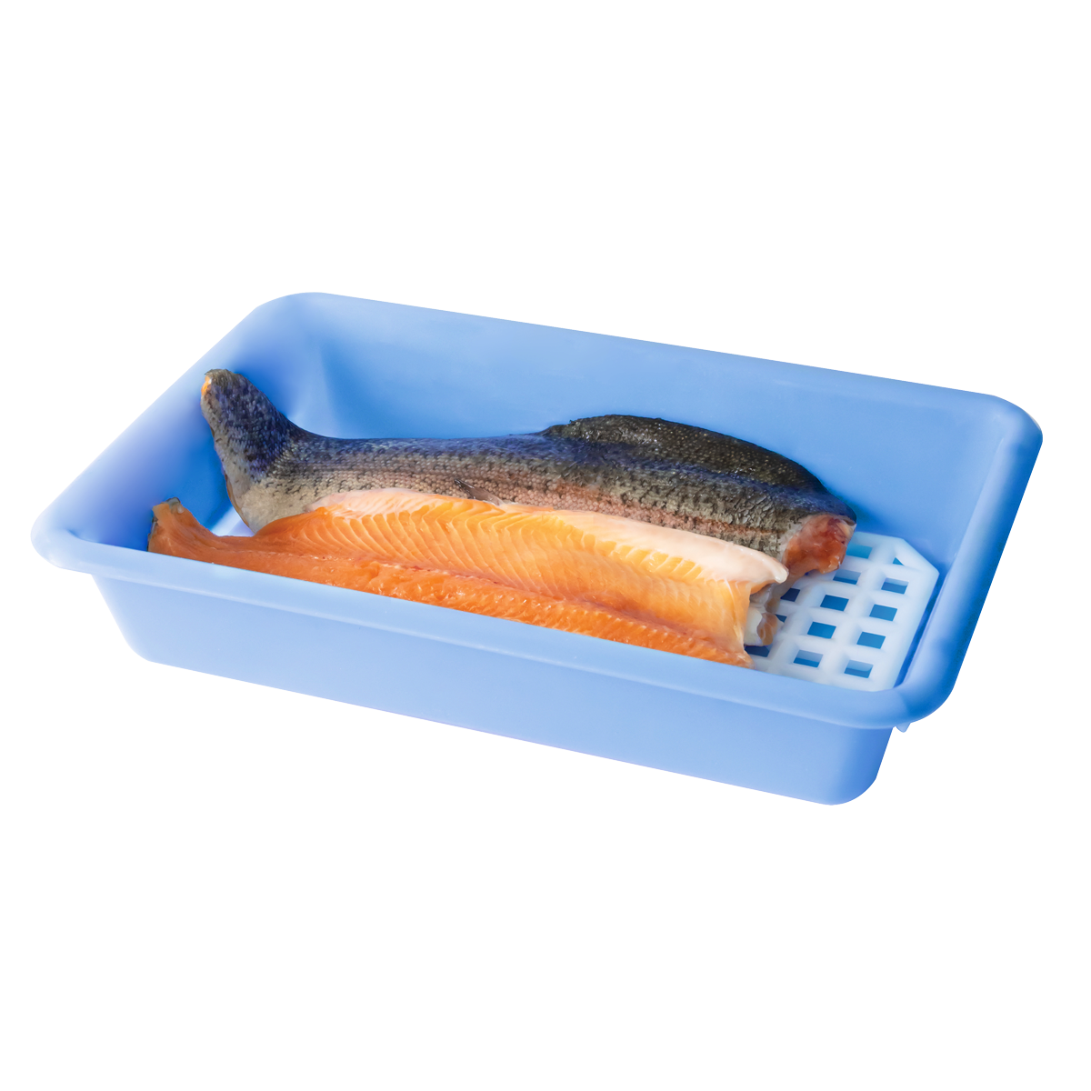 HACCP flat tray