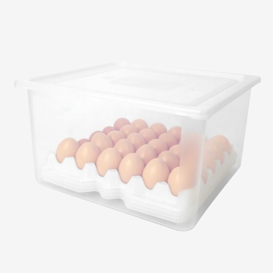 Boîte à œufs GN 2/3 - 120 œufs - 8 alvéoles - blanc