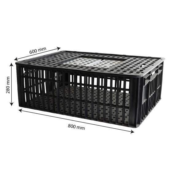 2-door sliding chicken cage 800 x 600