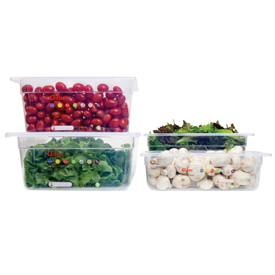 Gastronorm container + lid - GN1/1 HACCP - 100 mm - 13 L - Set of 2