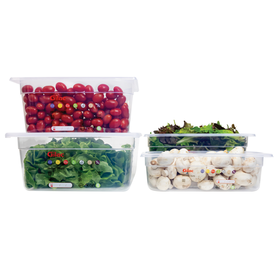 Gastronorm container + lid - GN1/2 HACCP - 200 mm - 12 L - Set of 2
