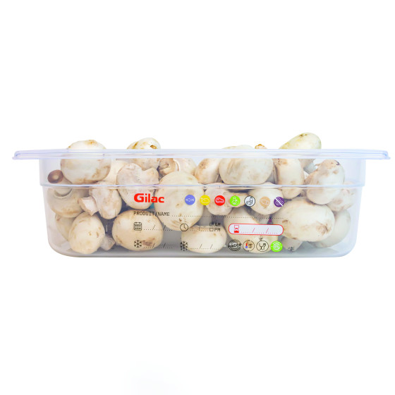 Gastronorm container + lid - GN1/3 HACCP - 100 mm - 3,8 L - Set of 2