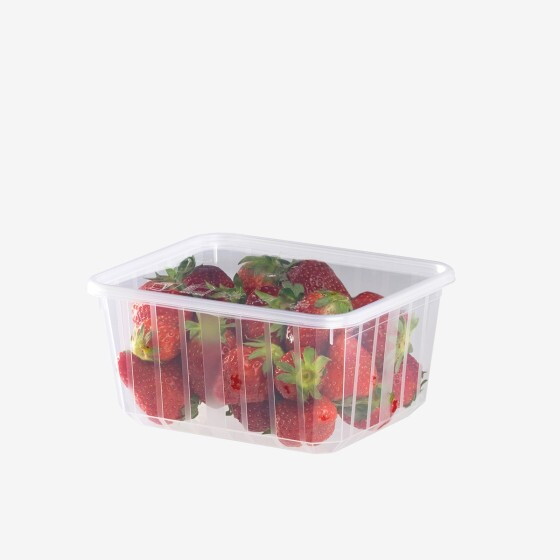 Boîte plastique alimentaire avec couvercle Carty - lot de 25 - 3 formats