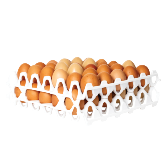 Eggs tray - 30 eggs - 300 x 300 x 9 - white