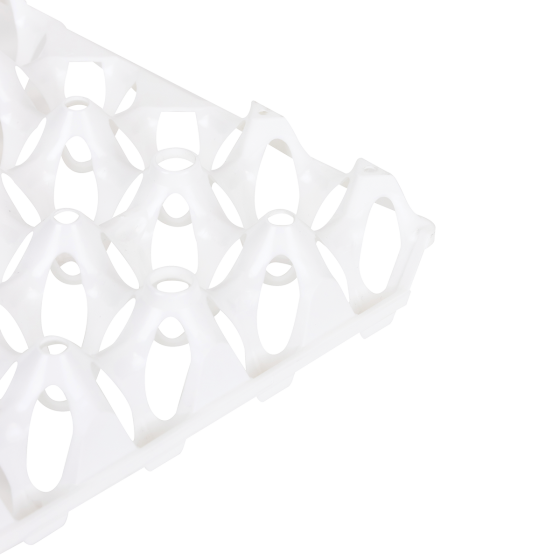 Eggs tray - 30 eggs - 300 x 300 x 9 - white
