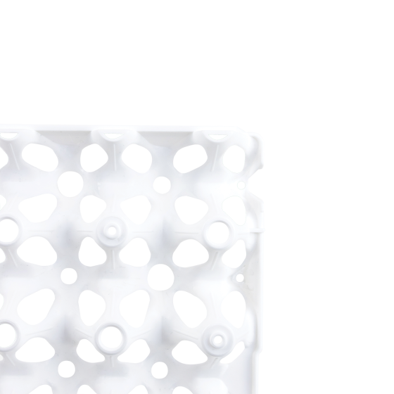 Eggs tray - 30 eggs - 300 x 300 x 9 - white