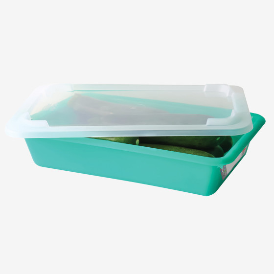 HACCP  flat tray + lid + grid