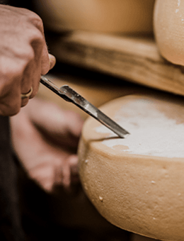 Fromagerie, industrie laitière