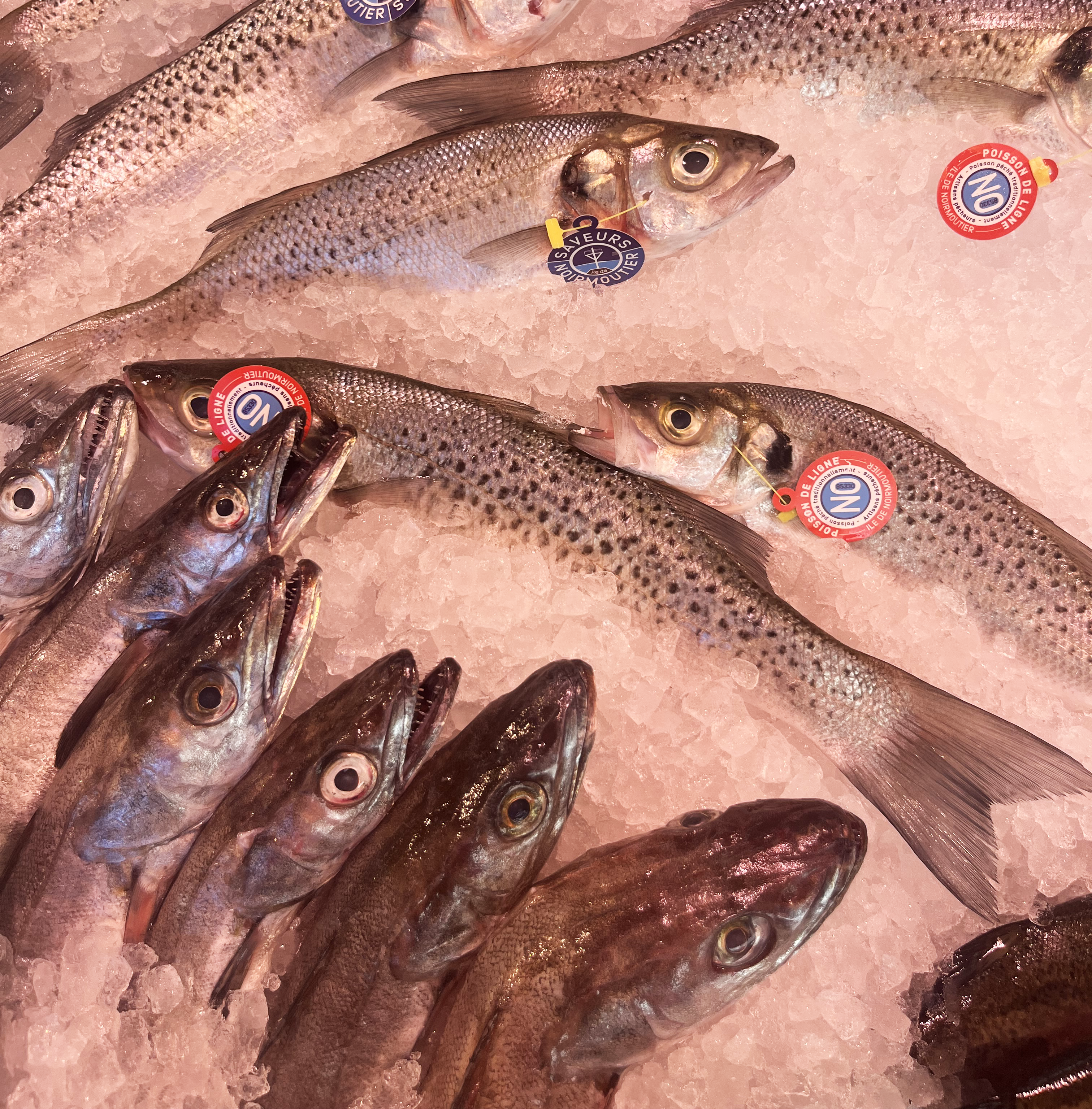 Etale de poissons frais au marché de Jean-Macé